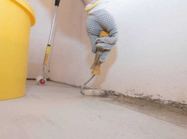 Emergency Pest Control in Cactus Flats, AZ